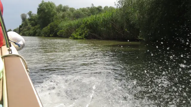 20.06.2025 in rasanter Fahrt durch die unvergleichliche Flusslandschaft. Alles relativ schwer zu fotografieren...