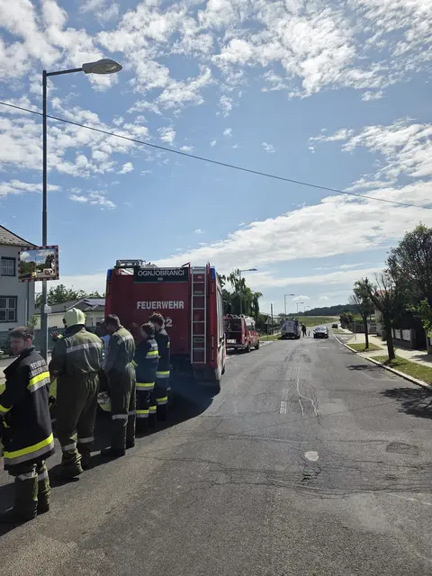 Foto: Michael Babits