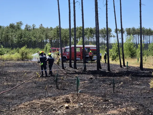 Foto: www.einsatzdoku.at