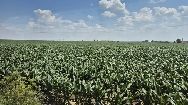 19.06.2025 Mit dem Bus zwischen endlosen Feldern