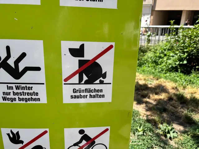 Ein Bereich in der Stuckgasse werde zunehmend als inoffizielle Hundezone genutzt. | Foto: Rotter/MeinBezirk