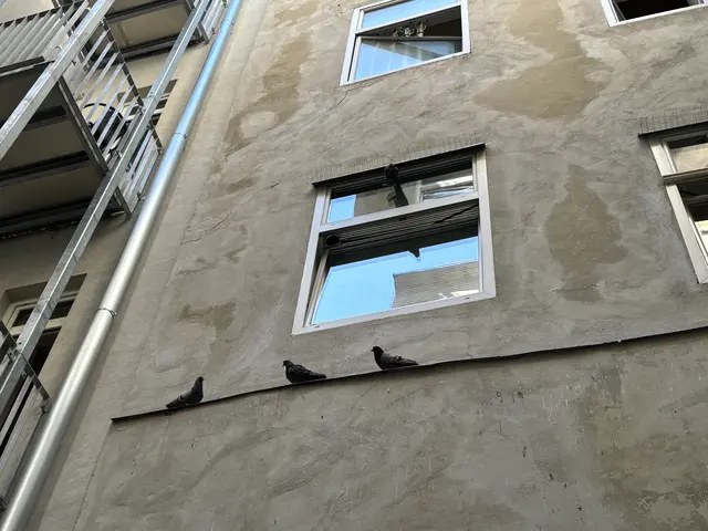 Foto: Luca Arztmann/MeinBezirk