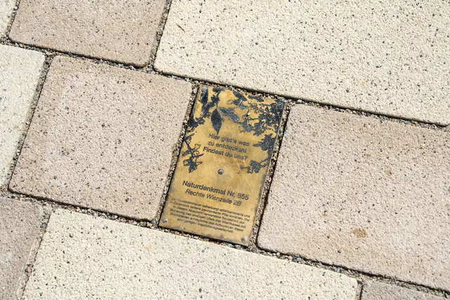 Mit Steinen wolle man auf die seltenen Pflanzen, die im Park wachsen, aufmerksam machen. | Foto: Valentina Marilenić/MeinBezirk