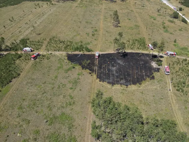 Foto: www.einsatzdoku.at