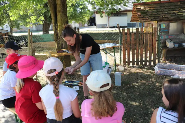 In Österreich gibt es 40.000 Insektenarten, dazu kommen noch Spinnentiere, erklärte Biologin Julia Lamprecht vom Ökoteam. Den Unterschied zwischen Insekten und Spinnen erkennt man an den Beinen, spinnen haben, acht, Insekten sechs Beine. Auch der Weberknecht zählt zu den Spinnen. Julia Lamprecht ließ einen davon auf ihrem Arm krabbeln. Beim Laufkäfer hatten einige Kinder den Mut, ihn in die Hand zu nehmen. Wie Spinnen oder die Larven von Marienkäfern sind auch Weberknecht und Laufkäfer wichtiger Teil der Biodiversität.  | Foto: Edith Ertl