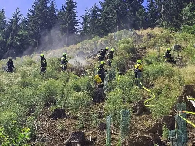 Die Feuerwehren mussten zu einem Waldbrand ausrücken. | Foto: Bereichsfeuerwehrverbandes Judenburg