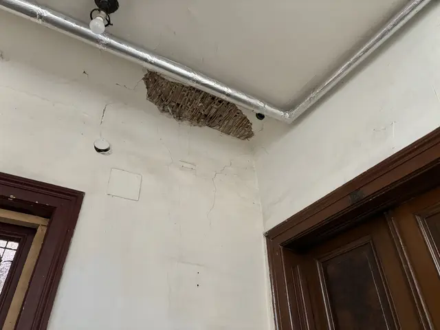 Foto: Luca Arztmann/MeinBezirk