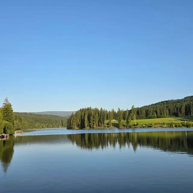 Ein Blick auf den Packer Stausee, er wurde von allen Bäumen im Wasser befreit. | Foto: Georg Preßler