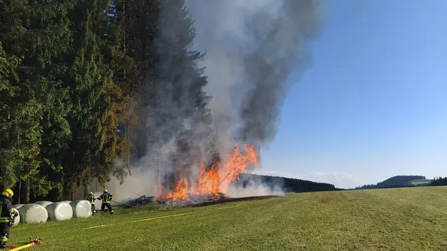 Der Waldbrand konnte innerhalb kürzester Zeit unter Kontrolle gebracht werden. | Foto: FF Zwettl/Enzenhofer & BFK