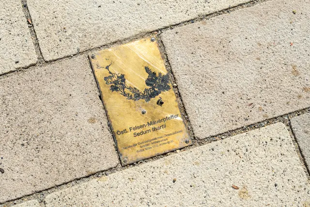 Foto: Valentina Marilenić/MeinBezirk