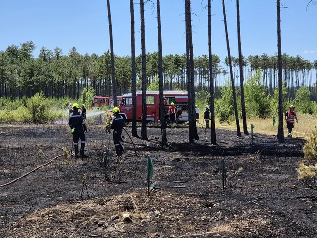 Foto: www.einsatzdoku.at