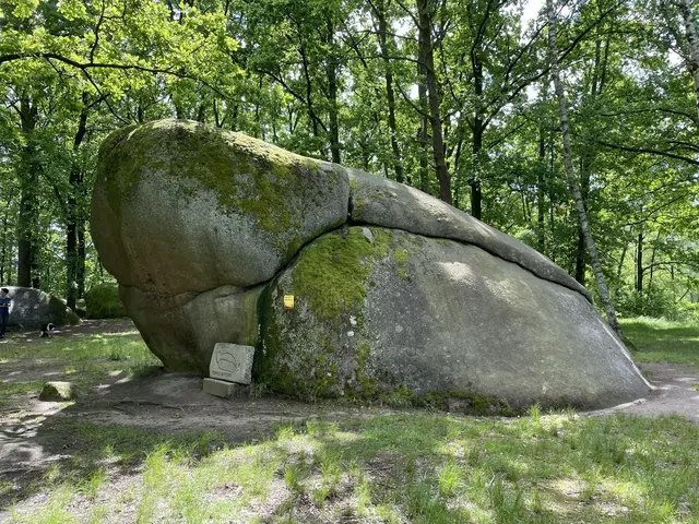 Die Blockheide beitet viele besondere Steinformationen. | Foto: cf