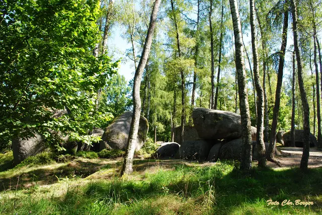 Foto: Christel Berger
