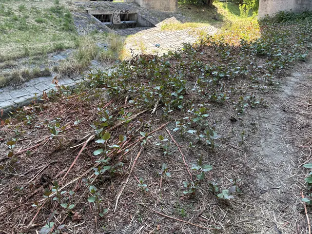 Foto: Lisa Kammann/MeinBezirk