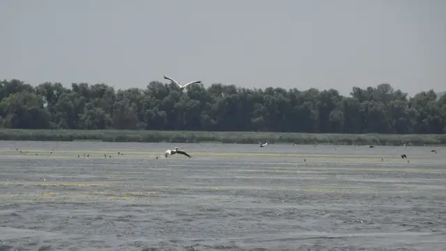 20.06.2025 Näher geht es nicht, leider