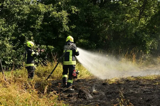 Feldbrand bei Waasen: Feuerwehren und Landwirte im Großeinsatz | Foto: DOKU-NÖ