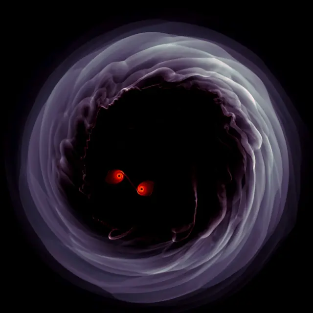 Zwei Schwarze Löcher umkreisen einander und versenden Gravitationswellen durch die Raumzeit. Eine Computersimulation von binären Schwarzen Löchern, die von einer dünnen Plasmascheibe umgeben sind | Foto: Zoltan Haiman and Jordy Davelaar