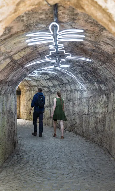 Unter dem Titel „Dark Bright“ verwandelt sich der Tunnel täglich von 7 bis 22 Uhr in ein temporäres Kunstwerk aus Licht und Sprache. | Foto: Stadt Salzburg/Alexander Killer
