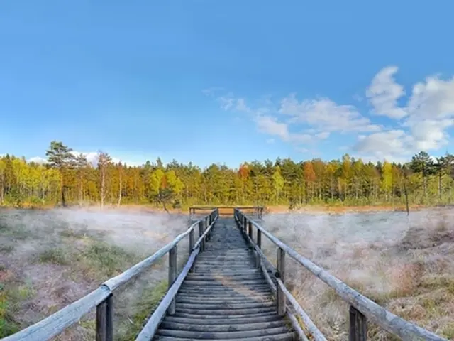 Der "Prügelsteg" im Naturpark Heidenreichsteiner Moor. | Foto: Horst Dolak