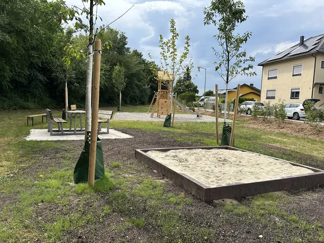 Wels will grüner werden und investiert in den Neubau von Grünanlagen und in die Attraktivierung bestehender Parks. | Foto: Stadt Wels