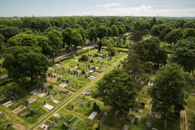 Vogelperspektive Wiener Zentralfriedhof. | Foto: Harald Lachner