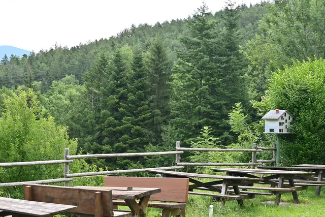 Terrasse des Bio-Mostheurigen