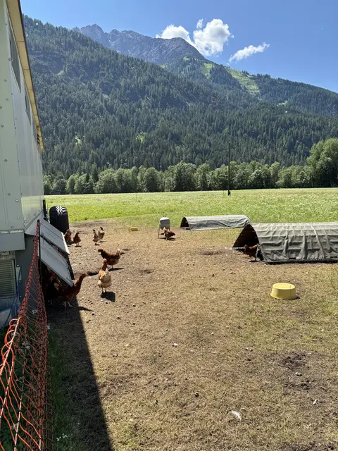 Foto: Reichel
