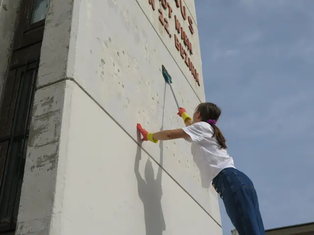 Eine Aktivistin putzte die Fassade als Protest gegen den geplanten Abriss. | Foto: Initiative Haus der Begegnung Donaustadt
