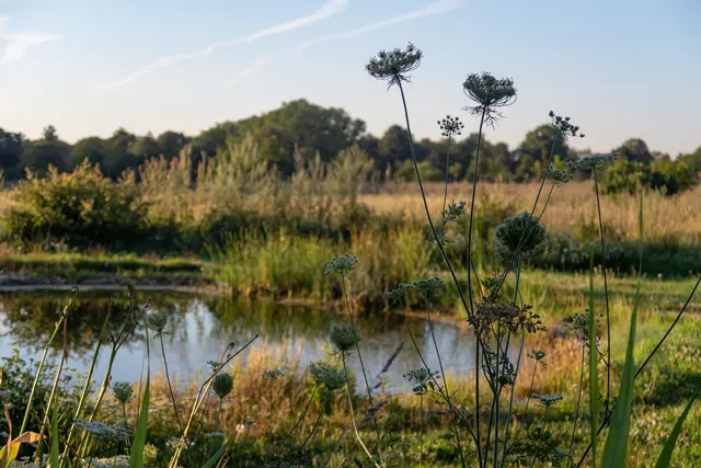Wiener Zentralfriedhof Naturgarten. | Foto: Friedhöfe Wien