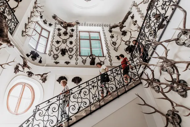 Prunkvoll repräsentativ zeigt sich das barocke große Stiegenhaus mit Fresko und Stuckreliefs zum Thema Jagd. | Foto: Bundesforste