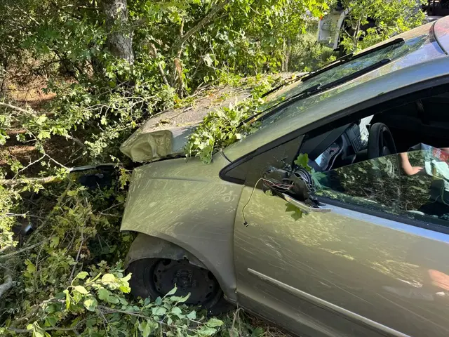 Beim Überholen eines Traktors kollidierte ein Pkw mit einem anderen Fahrzeug. In weiterer Folge kam eine Lenkerin mit ihrem Pkw von der Fahrbahn ab, durchfuhr das angrenzende Gestrüpp und kam schließlich neben der Straße zum Stillstand. Die Lenkerin wurde bei dem Unfall unbestimmten Grades verletzt.  | Foto: DOKU-NÖ