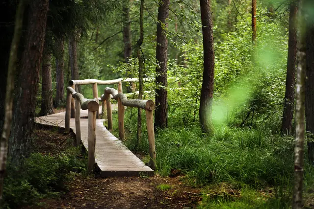 Foto: Waldviertel Tourismus, weinfranz