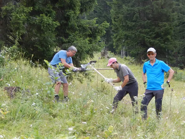 Die Landwirtschaftskammer und der steirische Almwirtschaftsverein veranstalten am Samstag, 19. Juli, eine großangelegte Schwendaktion auf den heimischen Almen. | Foto: Isabella Nömayer