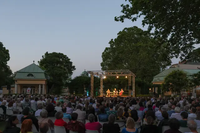 483 Stühle beim Schwimmenden Salon waren besetzt - ausverkauft. | Foto: Schiffl/Vöslauer