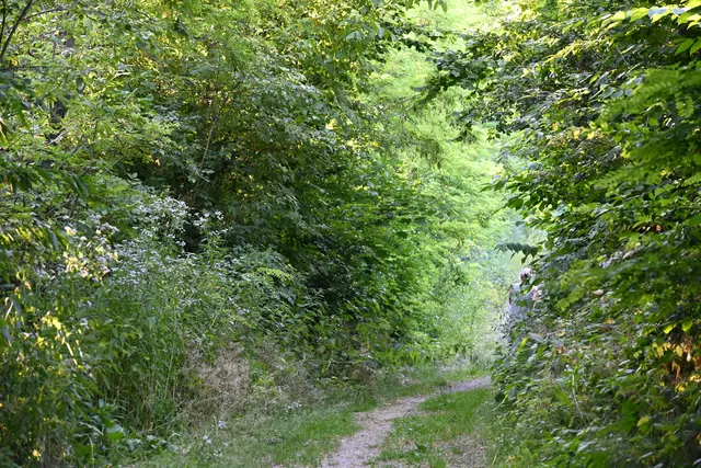 Weg entlang der Bahn von Payerbach