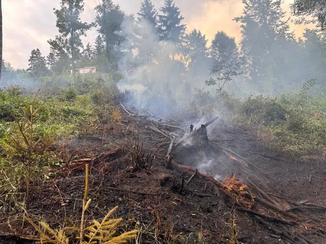 Ca 200 Quadratmeter Wald standen in Flammen  | Foto: HFM Patrick Marcher