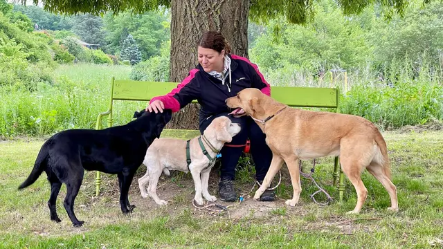 Tiersitterin Cornelia Mathieu aus Eisenstadt. | Foto: zVg/WKB