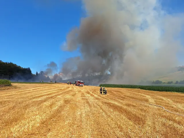 Wegen Trockenheit und Wind drohte eine schnelle Feuer-Ausbreitung. | Foto: Freiwillige Feuerwehr Seigbichl