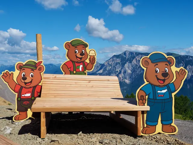 Neu ist der Familien-Erlebnisweg Drei.Länder.Bär oben am Dreiländereck – von diesen hölzernen Bärenliegen aus lässt sich das Panorama wunderbar genießen! | Foto: Dreiländereck Bergbahnen