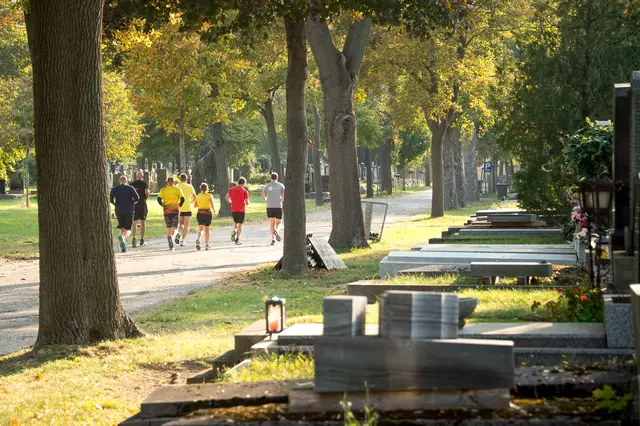 Lauf- und Walkingstrecke am Wiener Zentralfriedhof. | Foto: Friedhöfe Wien