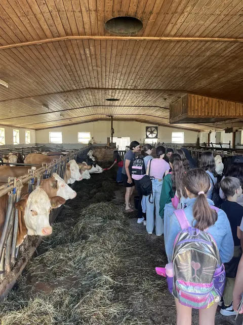 Die Schüler:innen bekamen eine Führung am Hof.  | Foto: BBK Gmunden Vöcklabruck