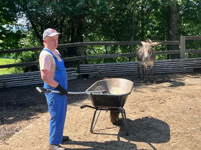 Die Klient:innen der Lebenshilfe unterstützen das Tierheim tatkräftig. | Foto: Tierheim Tierseelenhoffnung