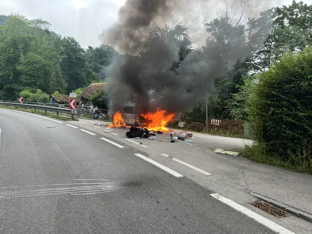 Ein Pkw stand auf der B22 in Vollbrand. | Foto: DOKU-NÖ