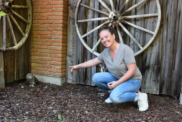 Julia Haas hat sichtlich Freude mit dem Hochzeitsgeschenk ihres Mannes diesem Waldkauz einen Namen gegeben zu haben.
Das Patentier Hora betrachtet die fremde Person mit sehr interessiertem Blick.
 | Foto: Herbert Stoschek