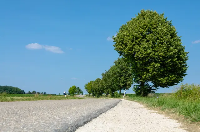 Der Motorradfahrer geriet in einer Linkskurve auf das rechte Bankett wodurch das Vorderrad wegrutschte. (Symbolfoto) | Foto: stock.adobe.com/at/VS