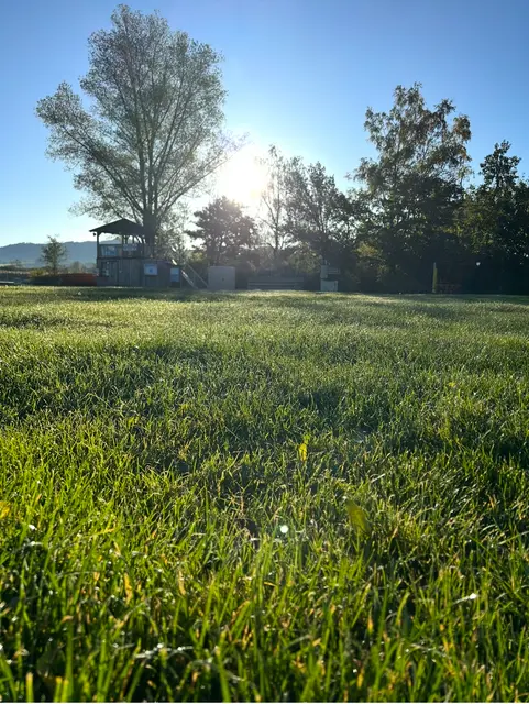 Sonne in den Sommerferien  | Foto: Schweighofer Elisabeth