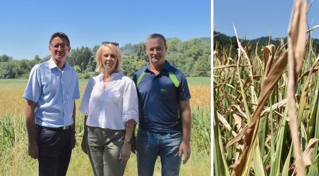 von links: Siegfried Huber (Präsident der Landwirtschaftskammer Kärnten), Christine Petritz (Referat Pflanzliche Produktion LK Kärnten), Hubert Gernig (Landesleiter Österreichische Hagelversicherung)

 | Foto: MeinBezirk.at (18)