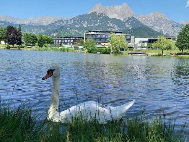 Foto: H.Bachinger 