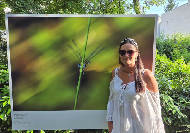 Doris Rehlings Libellenbild ist in Baden zu sehen. | Foto: privat