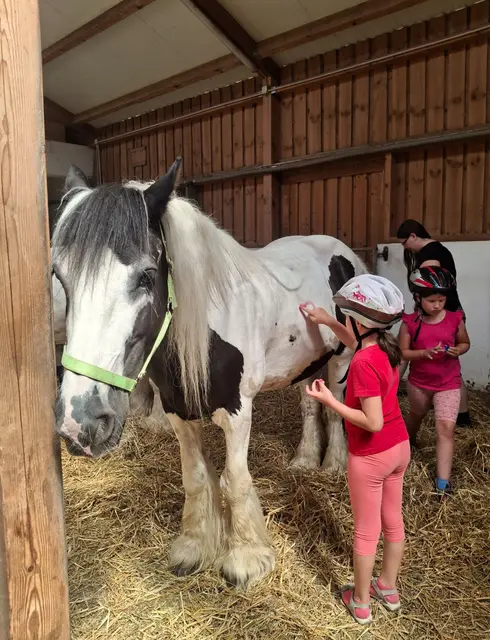 Die Kids durften die Pferde auch bemalen. | Foto: privat